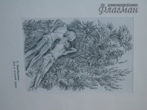 SAMSUNG DIGITAL CAMERA